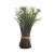 8J-12AK0003 Цветок искусственный 30 см Букет маргариток белых Garda Decor