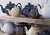 P_0056.721 Чайник заварочный Classic Tones 1,5 л коричневый